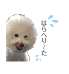 うにーにpart2（個別スタンプ：7）