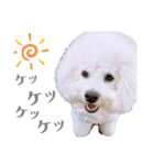 うにーにpart2（個別スタンプ：14）