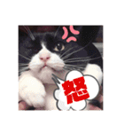 たきゃもりんんん（個別スタンプ：2）