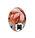 たきゃもりんんん（個別スタンプ：5）