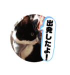 たきゃもりんんん（個別スタンプ：6）