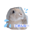 うさぎのむぎくん。（個別スタンプ：2）