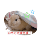 うさぎのむぎくん。（個別スタンプ：3）