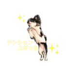 こはる＆とうま（個別スタンプ：1）