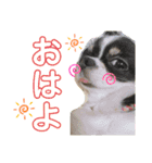 こはる＆とうま（個別スタンプ：7）