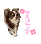 こはる＆とうま（個別スタンプ：10）