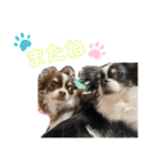 こはる＆とうま（個別スタンプ：13）