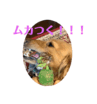ピンキーリリー4598（個別スタンプ：19）