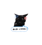 ぺっとすたんぷ_その3（個別スタンプ：2）