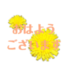 花と敬語（個別スタンプ：1）