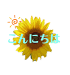 花と敬語（個別スタンプ：2）