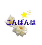 花と敬語（個別スタンプ：3）