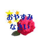 花と敬語（個別スタンプ：4）