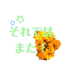 花と敬語（個別スタンプ：5）