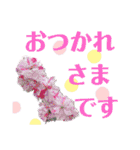 花と敬語（個別スタンプ：6）