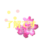 花と敬語（個別スタンプ：8）