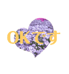 花と敬語（個別スタンプ：9）