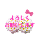 花と敬語（個別スタンプ：12）