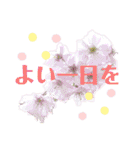 花と敬語（個別スタンプ：13）