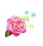 花と敬語（個別スタンプ：18）