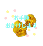 花と敬語（個別スタンプ：19）