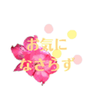 花と敬語（個別スタンプ：21）