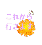 花と敬語（個別スタンプ：23）