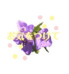 花と敬語（個別スタンプ：27）