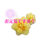 花と敬語（個別スタンプ：31）