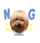 ガウガウ犬のレオン君③（個別スタンプ：3）