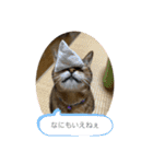 ゆーじろ その2（個別スタンプ：4）