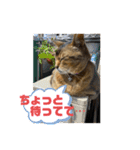 ゆーじろ その2（個別スタンプ：15）