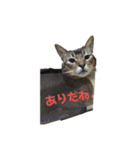 ゆーじろ（個別スタンプ：4）