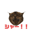 ゆーじろ（個別スタンプ：6）
