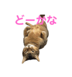 ゆーじろ（個別スタンプ：7）