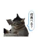 ゆーじろ（個別スタンプ：15）