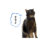 ゆーじろ（個別スタンプ：16）