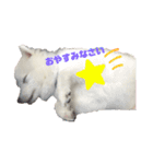 はく＆もか（個別スタンプ：2）