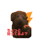 はく＆もか（個別スタンプ：5）