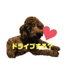 はく＆もか（個別スタンプ：7）