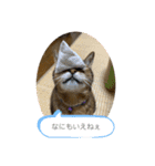ゆーじろ2（個別スタンプ：3）