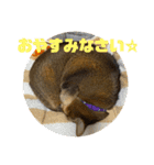 ゆーじろ2（個別スタンプ：6）