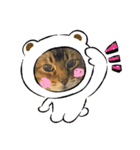 ゆーじろ2（個別スタンプ：11）