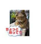ゆーじろ2（個別スタンプ：13）