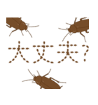 ゴキブリ IN YOUR AREA（個別スタンプ：8）