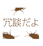 ゴキブリ IN YOUR AREA（個別スタンプ：30）