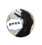 ミュウの日頃使えるスタンプ（個別スタンプ：8）
