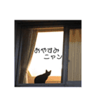 ミュウの日頃使えるスタンプ（個別スタンプ：9）