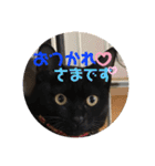 ミュウの日頃使えるスタンプ（個別スタンプ：10）