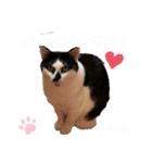 うしくんです（個別スタンプ：3）